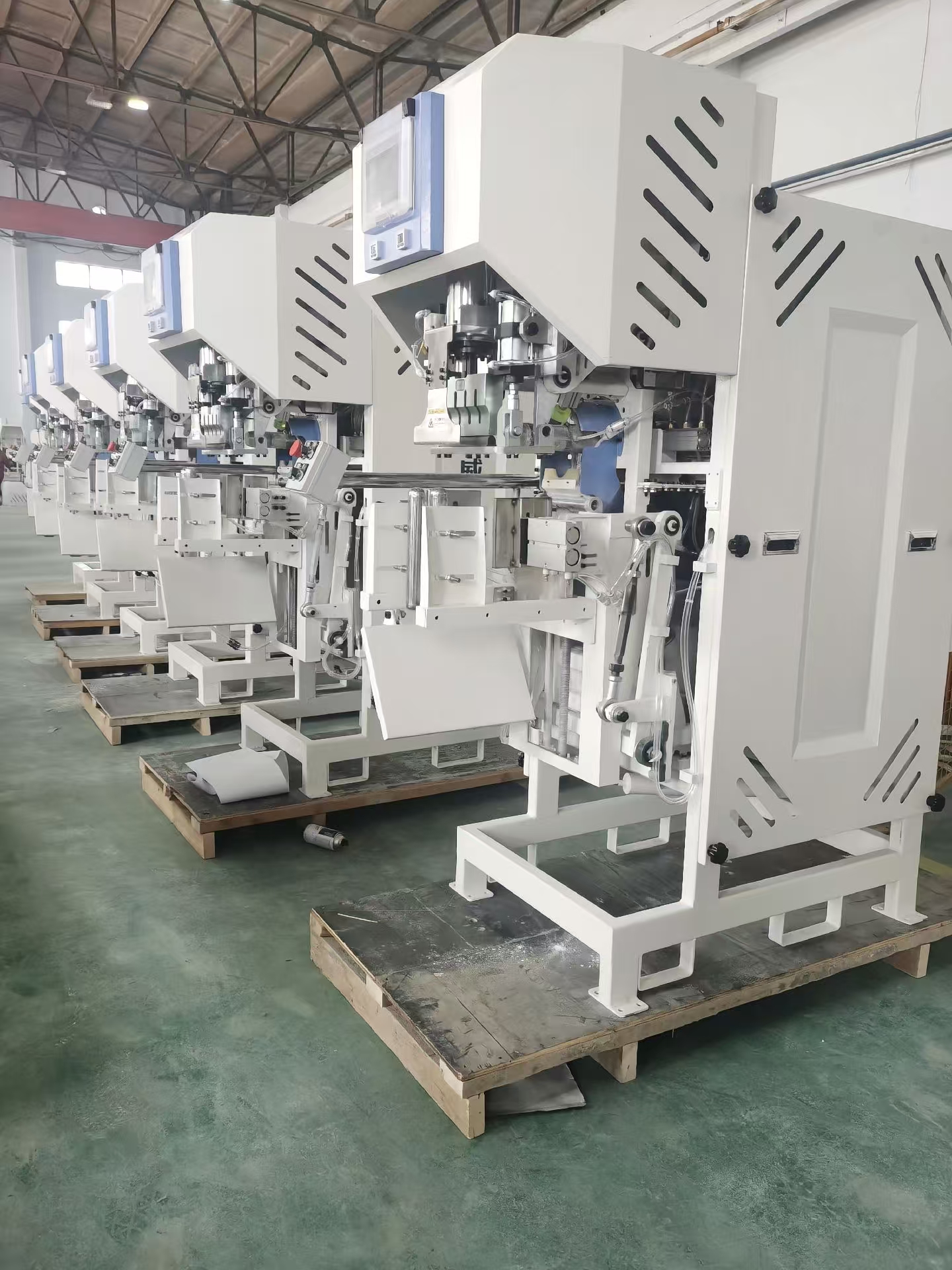 Valve bag packing machine